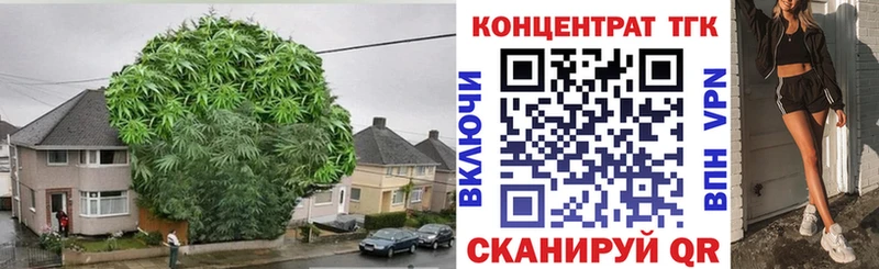 купить наркотики цена  Волоколамск  ТГК жижа 